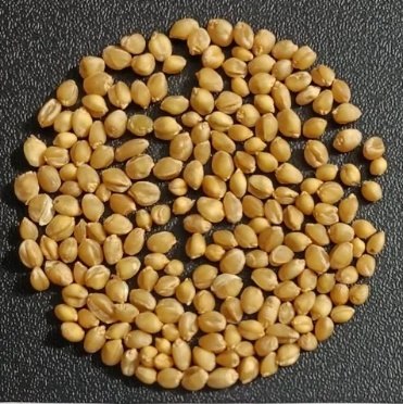 Sonamoti Wheat Flour